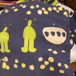 Company store duvet and pillow cases